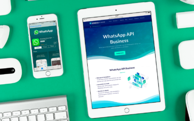 ¿Es la API de WhatsApp Business segura?